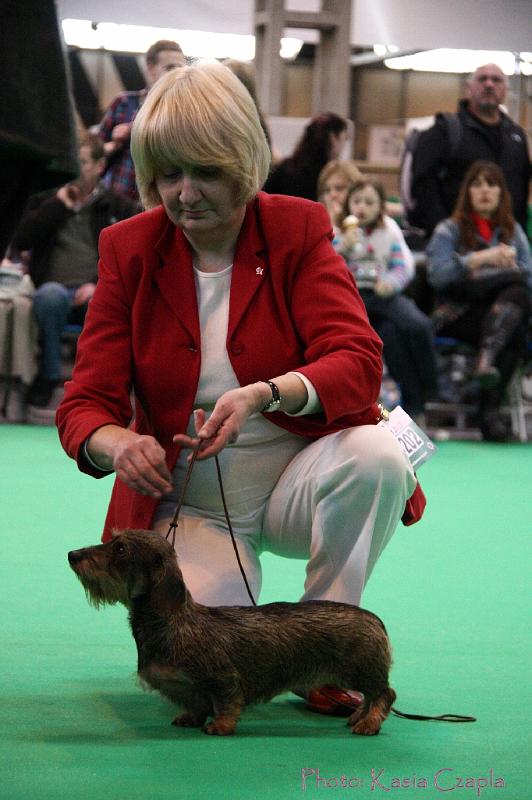 Crufts2011_2 1633.jpg